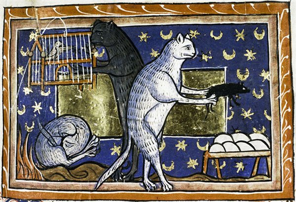 Medieval Cats (23 pics)