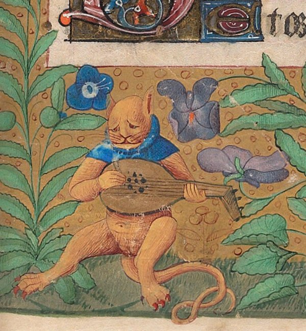 Medieval Cats (23 pics)