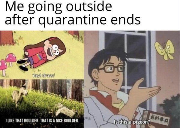 Quarantine Memes (33 pics)