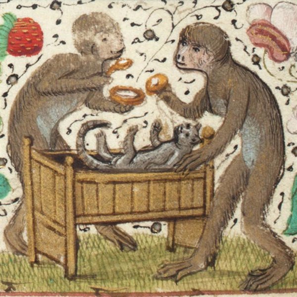 Medieval Cats (23 pics)