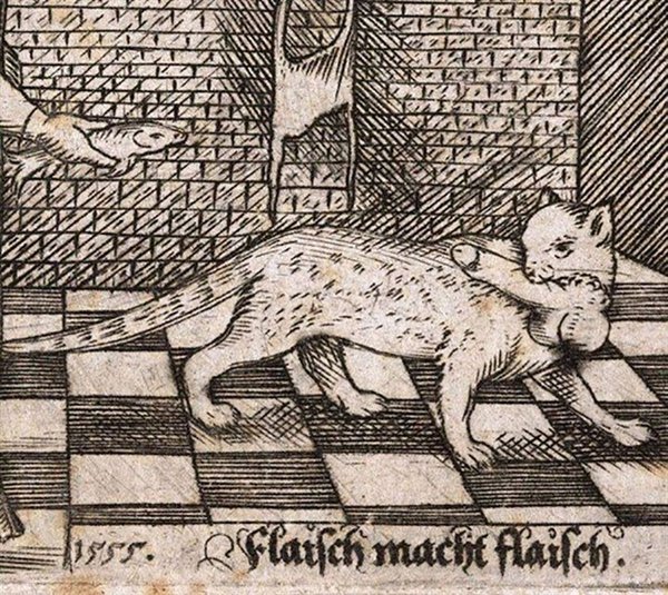Medieval Cats (23 pics)