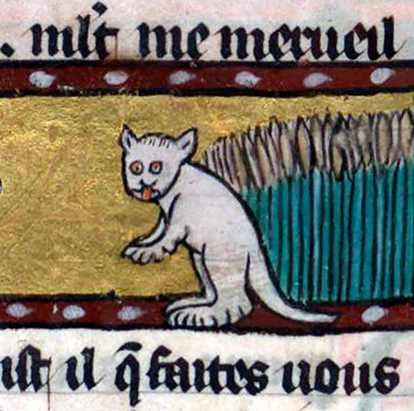 Medieval Cats (23 pics)