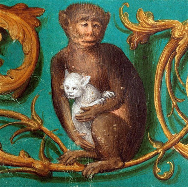 Medieval Cats (23 pics)