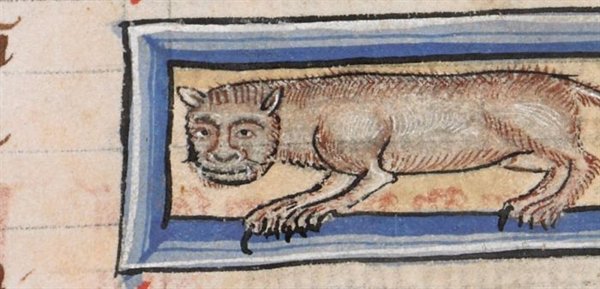 Medieval Cats (23 pics)