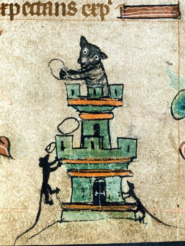 Medieval Cats (23 pics)