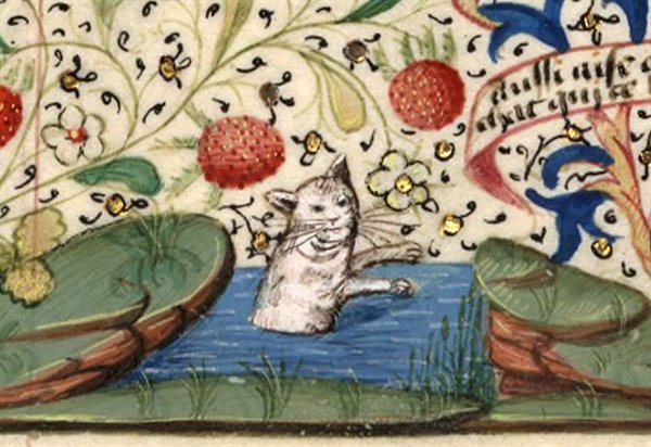 Medieval Cats (23 pics)