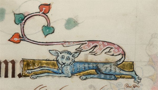 Medieval Cats (23 pics)