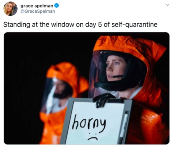 Quarantine Memes (33 pics)