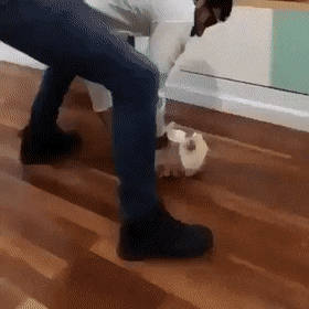 Acid Gifdump, May 6 (25 gifs)