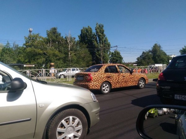 Weird Cars (34 pics)