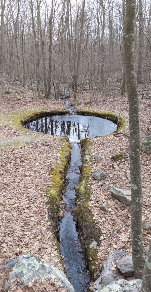 What Are These Things For? (21 pics)