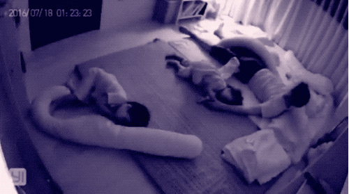 Dads Wins (16 gifs)