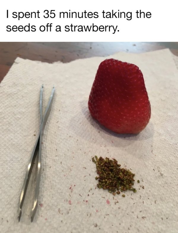 How People Spend Their Quarantine Days (30 pics)