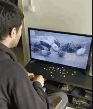 How People Spend Their Quarantine Days (30 pics)