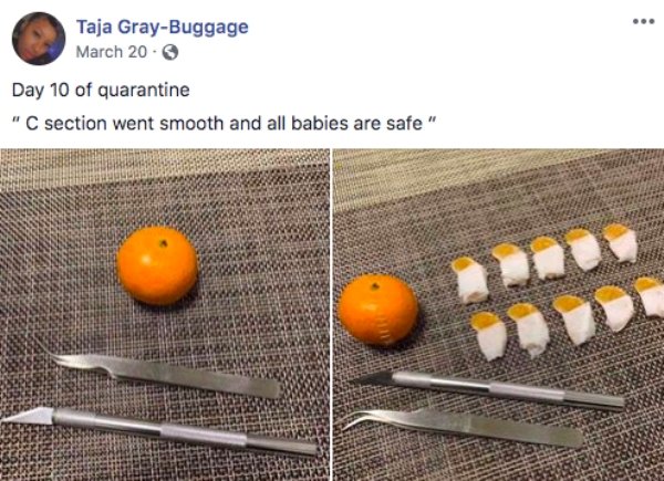 How People Spend Their Quarantine Days (30 pics)
