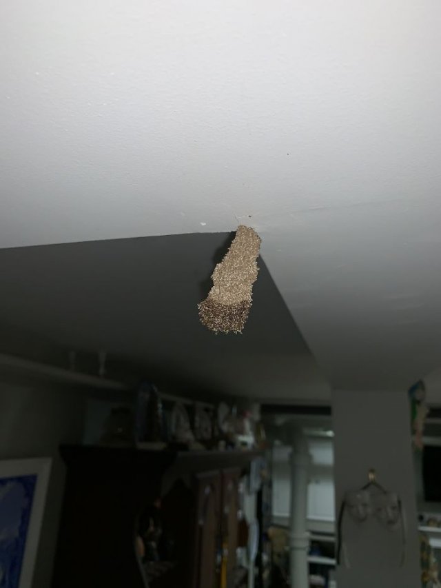 What Are These Things For? (21 pics)