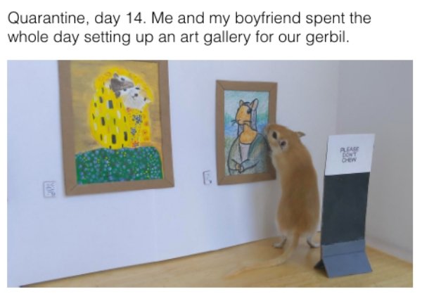 How People Spend Their Quarantine Days (30 pics)