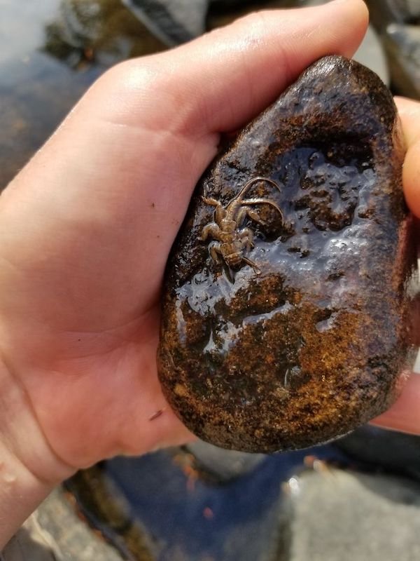 What Are These Things For? (21 pics)
