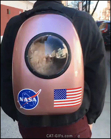 Acid Gifdump, May 7 (25 gifs)