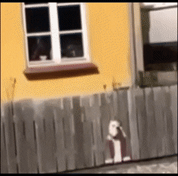 Acid Gifdump, May 7 (25 gifs)