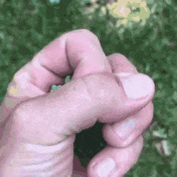 Acid Gifdump, May 8 (25 gifs)