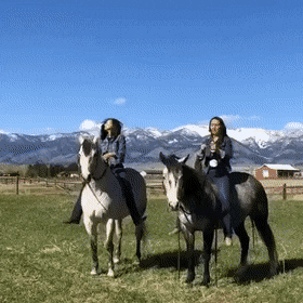 Acid Gifdump, May 8 (25 gifs)