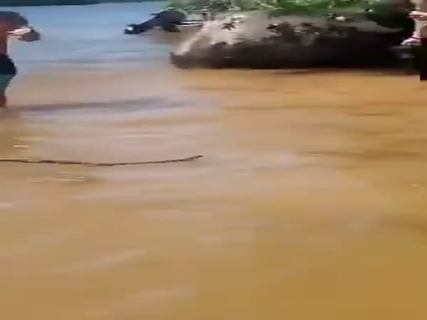 That Was A Bad Idea