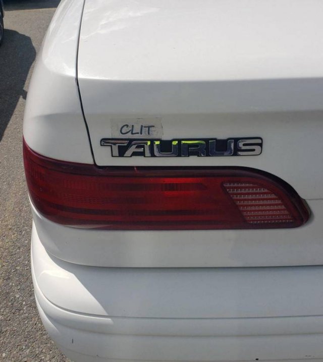 Acid Picdump. Part 2 (95 pics)