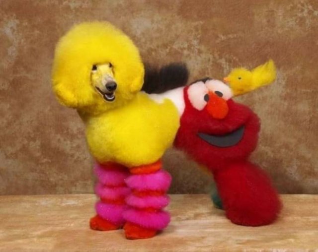 Acid Picdump. Part 2 (95 pics)