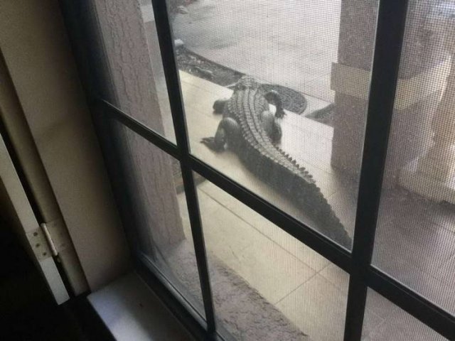 Bad Days Happen (50 pics)