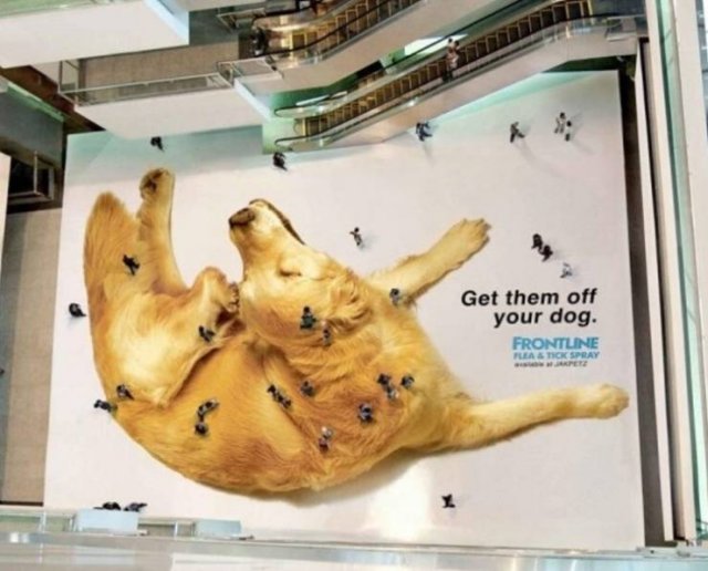 Creative Ads (15 pics)
