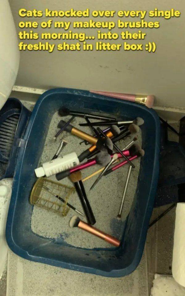 Bad Days Happen (50 pics)