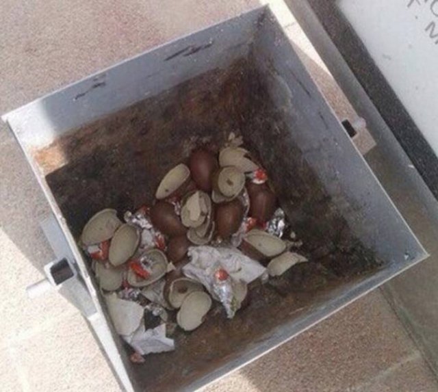 Annoying Things (45 pics)