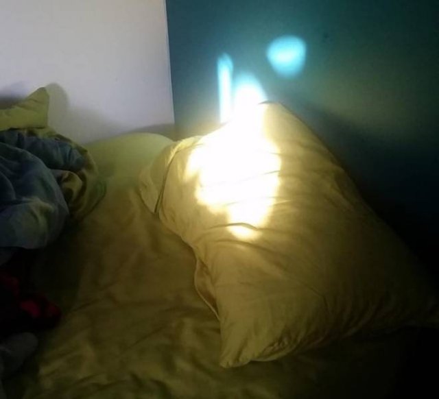 Annoying Things (45 pics) Annoying Things (45 pics)