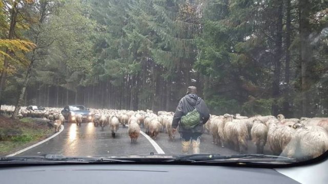 Bad Days Happen (50 pics)