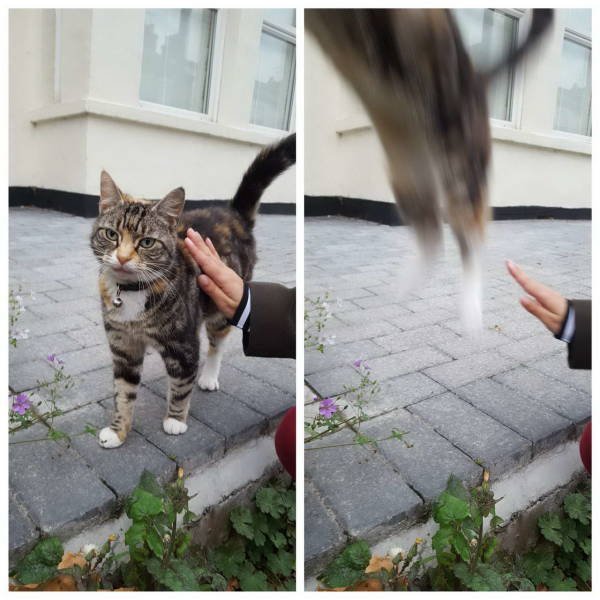 Right Moment (45 pics)