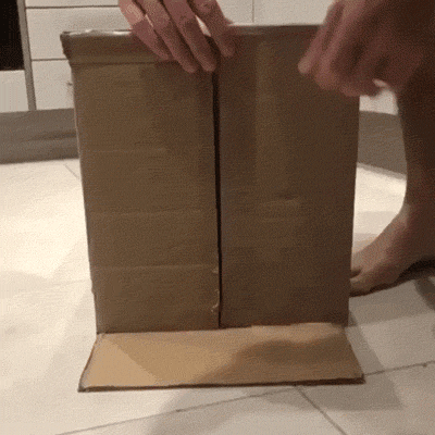 Hilarious Cats (31 pics)