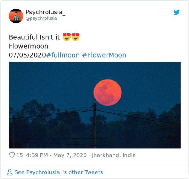 Beautiful May's Flower Moon (27 pics)