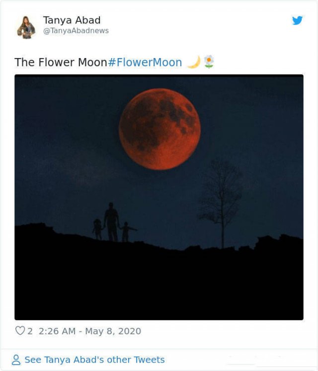 Beautiful May's Flower Moon (27 pics)