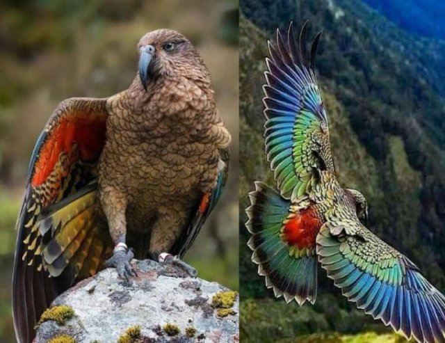 Awesome Photos (55 pics)