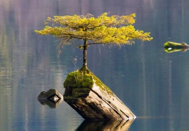 Awesome Photos (55 pics)