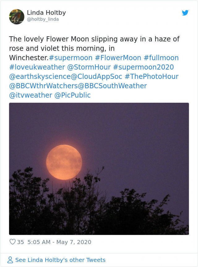 Beautiful May's Flower Moon (27 pics)