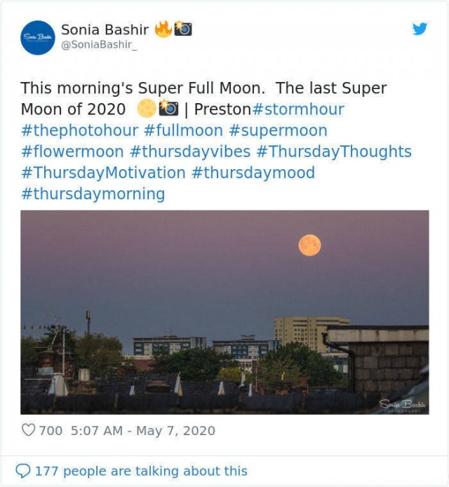 Beautiful May's Flower Moon (27 pics)