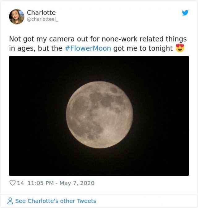 Beautiful May's Flower Moon (27 pics)