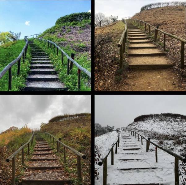 Awesome Photos (55 pics)