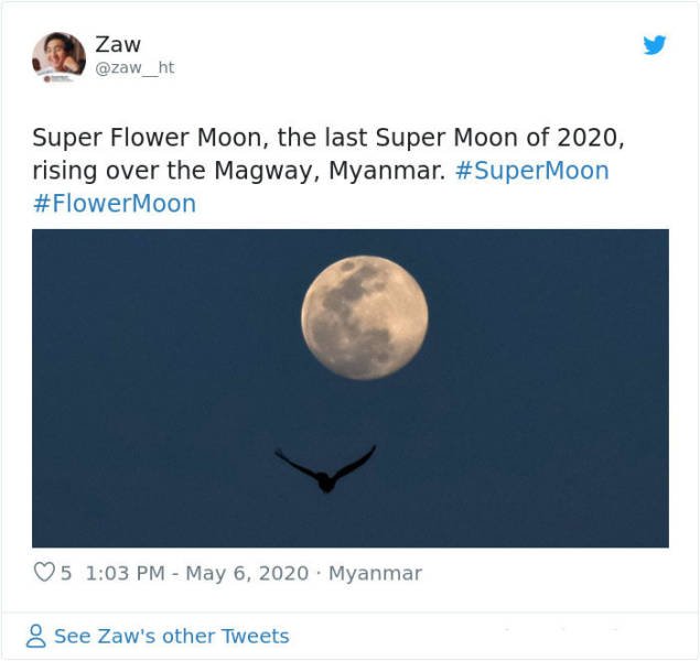 Beautiful May's Flower Moon (27 pics)