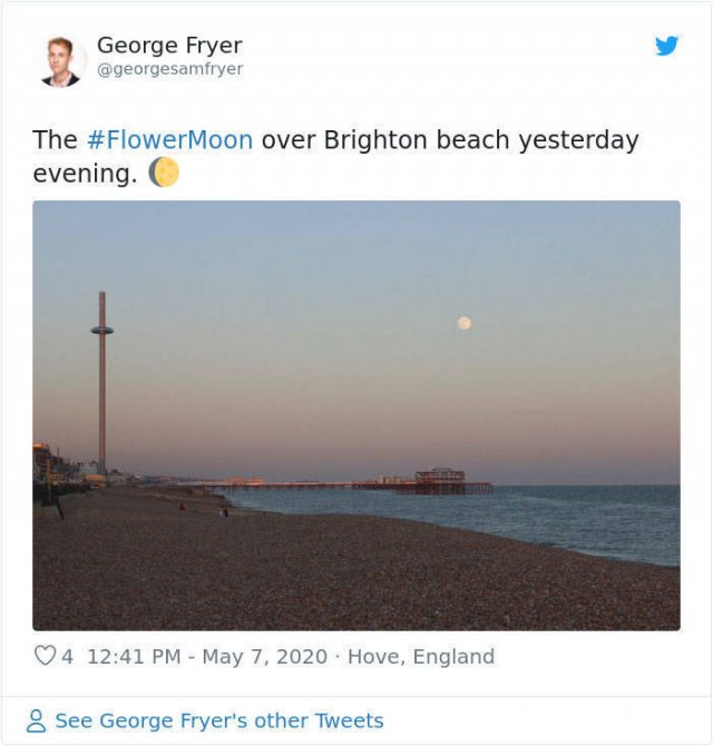 Beautiful May's Flower Moon (27 pics)