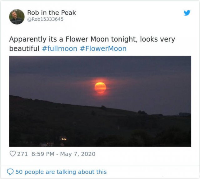Beautiful May's Flower Moon (27 pics)