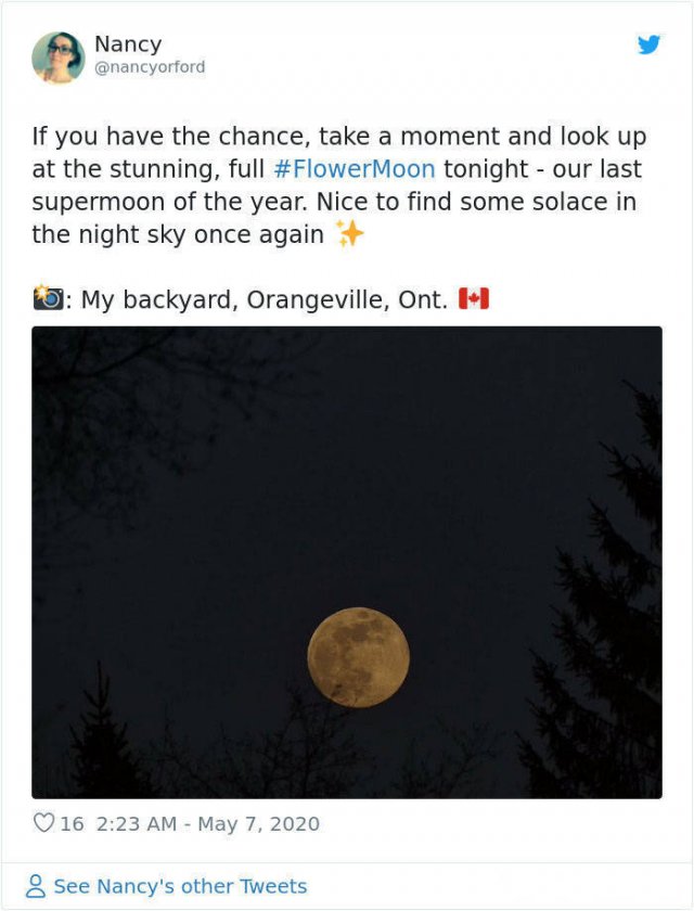 Beautiful May's Flower Moon (27 pics)