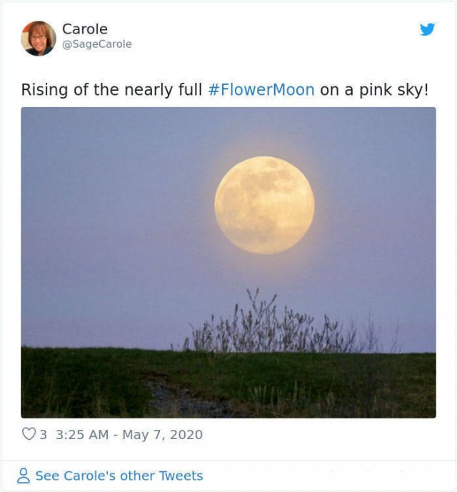 Beautiful May's Flower Moon (27 pics)